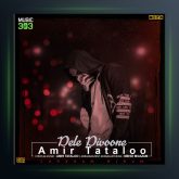 آهنگ دل دیوونه از امیر تتلو