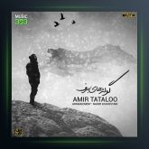 آهنگ گوله های برف از امیر تتلو