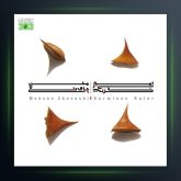 آهنگ امیر بی گزند از محسن چاوشی