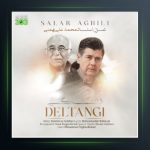 آهنگ دلتنگی از سالار عقیلی