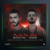 آهنگ پاشو دیر شد از بهزاد پکس