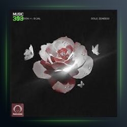 آهنگ گل زندگی از The Don