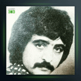 آهنگ مرد غریب از فریدون فروغی