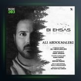 دانلود آهنگ بی احساس از علی عبدالمالکی