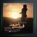 آهنگ آخرین پرسه از احمد فیلی