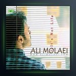 آهنگ این زندگی نیست از علی مولایی