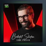 آهنگ بلدت شدم از امیر فرجام