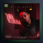 آهنگ تنها بزارم از میلاد باران