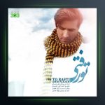 آهنگ تو رفتی از امیر فرجام