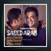 آهنگ حالمو ببین از سعید عرب