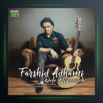 آهنگ دل دیوونه از فرشید ادهمی