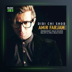 آهنگ دیدی چی شد از امیر فرجام