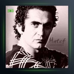 آهنگ شاید از هاتف