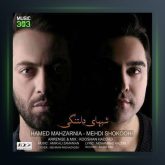 آهنگ شب های دلتنگی از حامد محضرنیا