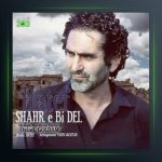 آهنگ شهر بی دل از هاتف