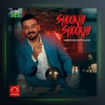 آهنگ شوخی شوخی از امیرحسین افتخاری