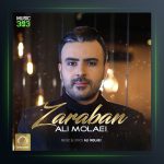 آهنگ ضربان از علی مولایی