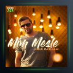 آهنگ میم مثل از امیر فرجام