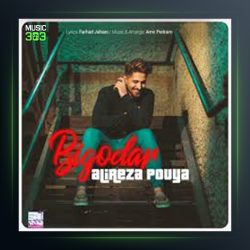 آهنگ بی گدار از علیرضا پویا