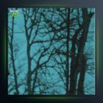 آهنگ شملی شملی از ابوذر شجاعی