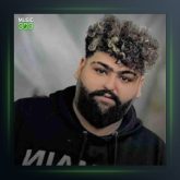 آهنگ مو غریب تو هم غریب از مجید بازدار