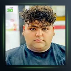 آهنگ کوگ کوه از مجید بازدار