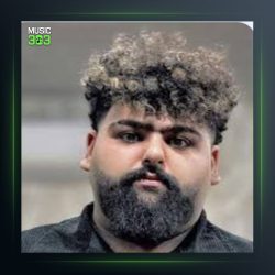 آهنگ یرلی یرلی از مجید بازدار