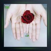 آهنگ شراب عاشقی از مجید بازدار