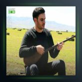 آهنگ دلو دلو از داوود یونسی