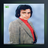 اهنگ مرد تنها از حسن شجاعی