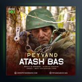 آهنگ آتش بس از پیوند