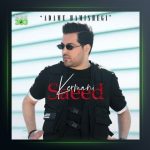 آهنگ آدم همیشگی از سعید کرمانی