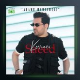 آهنگ آدم همیشگی از سعید کرمانی