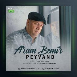 آهنگ آرام بمیر از پیوند