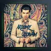 آهنگ آروم جون از باراد