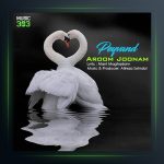 آهنگ آروم جونم از پیوند