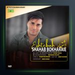 آهنگ اشتباه از شهاب بخارایی