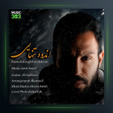 آهنگ اندوه تنهایی از امیر امیری