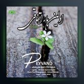 آهنگ اولین بار اتفاقی از پیوند