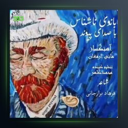 آهنگ بانوی ناشناس از پیوند