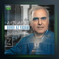 آهنگ بردی از یادم از امیر امیری