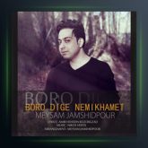 آهنگ برو دیگه نمیخوامت از میثم جمشیدپور