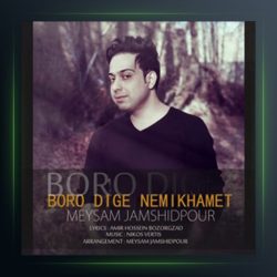 آهنگ برو دیگه نمیخوامت از میثم جمشیدپور