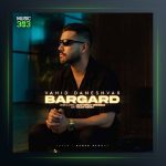 آهنگ برگرد از وحید دانشور