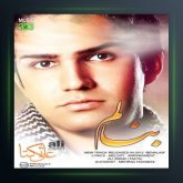 آهنگ بنالم از علی زیبایی