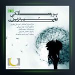 آهنگ بهترین حادثه از پویا سالکی