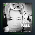 آهنگ بچه ها از پیوند