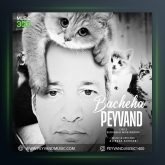 آهنگ بچه ها از پیوند