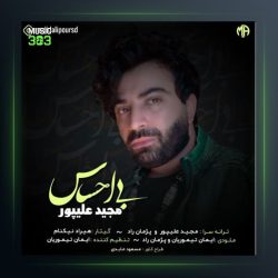 آهنگ بی احساس از مجید علیپور