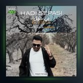 آهنگ بی دلیل از هادی سپاسی